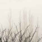 Alicia Garcia Borrell , Jordi Abad Barberá , JuanJo Martinez Seguí y Rafael Escuder Ponsoda