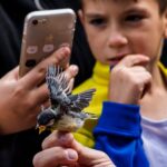 Alicia Garcia Borrell , Jordi Abad Barberá , JuanJo Martinez Seguí y Rafael Escuder Ponsoda