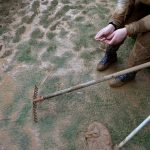 Descanso, autora=Patricia Navarro Perez