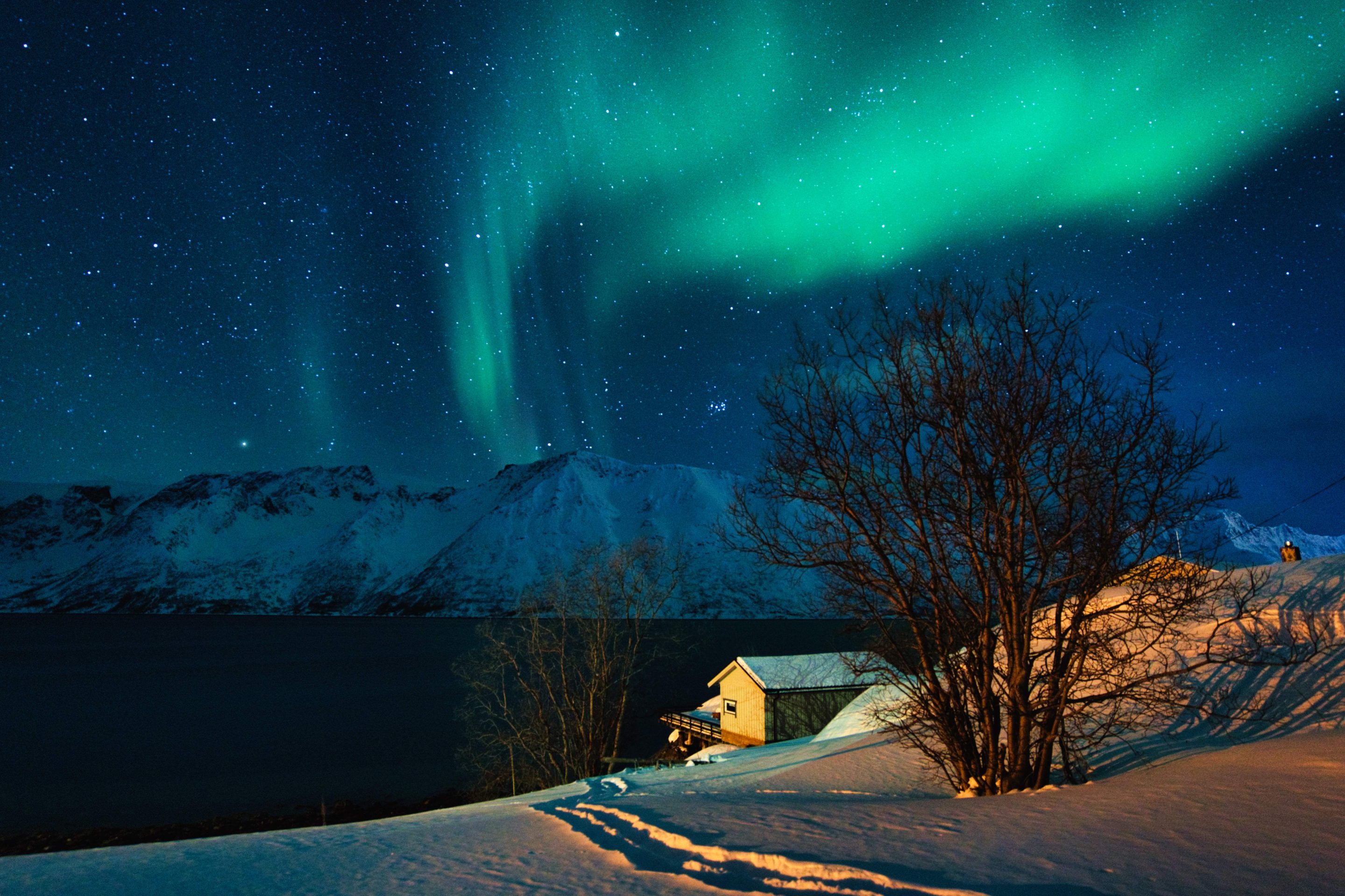 Fallo Concurso Social Febrero 2026